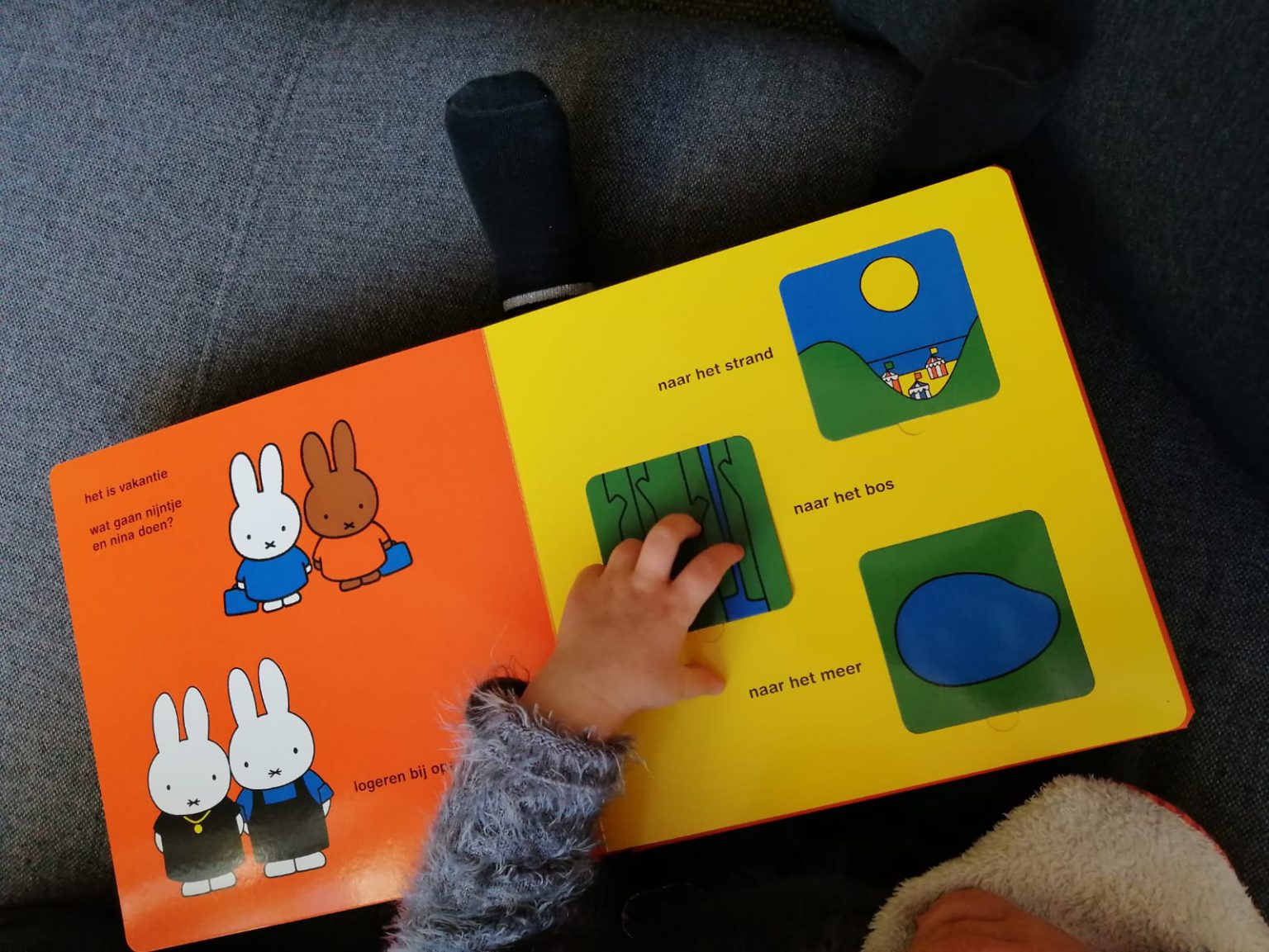 Grote Nijntje Flapjesboek Dick Bruna Stoerleesvoer