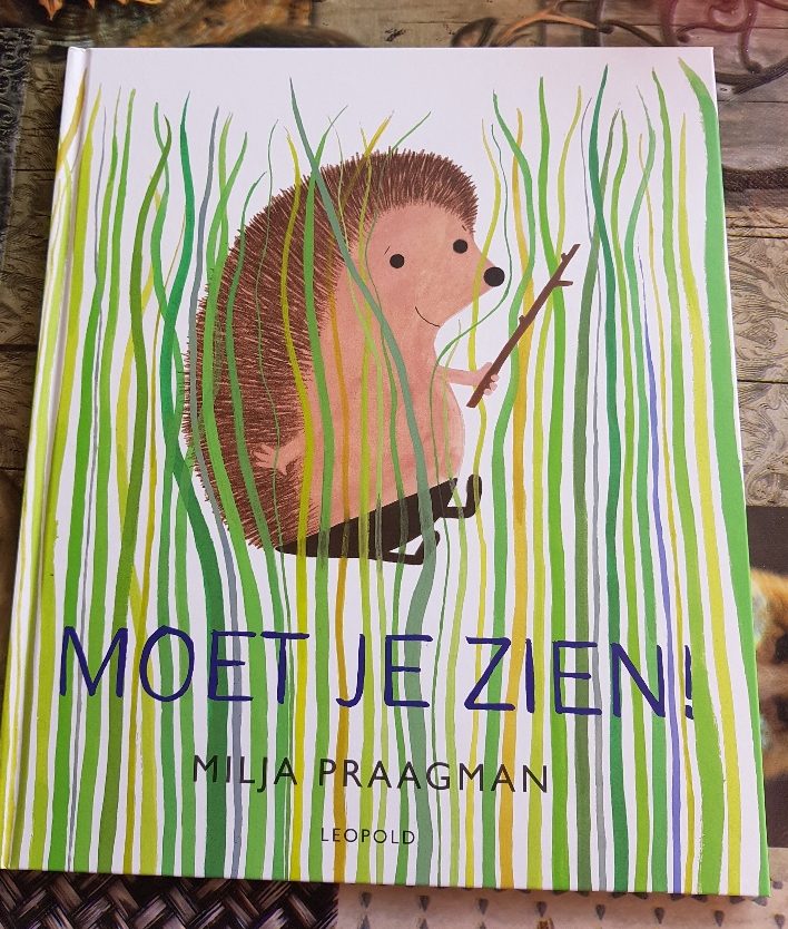 Moet je zien voorkant cover omslag kaft prentenboek