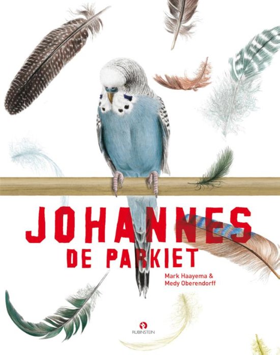 Johannes de Parkiet voorkant cover omslag kaft