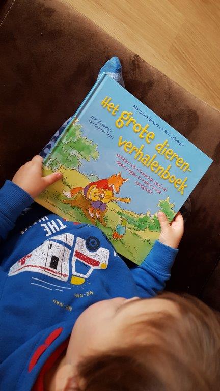 Het grote dierenverhalenboek voorkant cover omslag kaft
