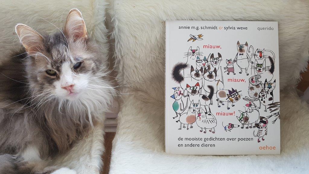 Miauw, miauw, miauw voorkant cover omslag kaft