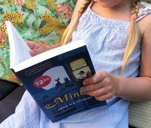 Minoes Annie M.G. Schmidt voorkant cover omslag kaft