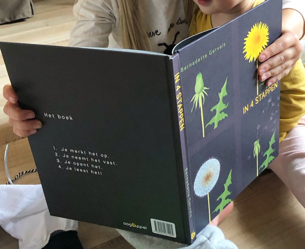 in 4 stappen voorkant cover omslag kaft