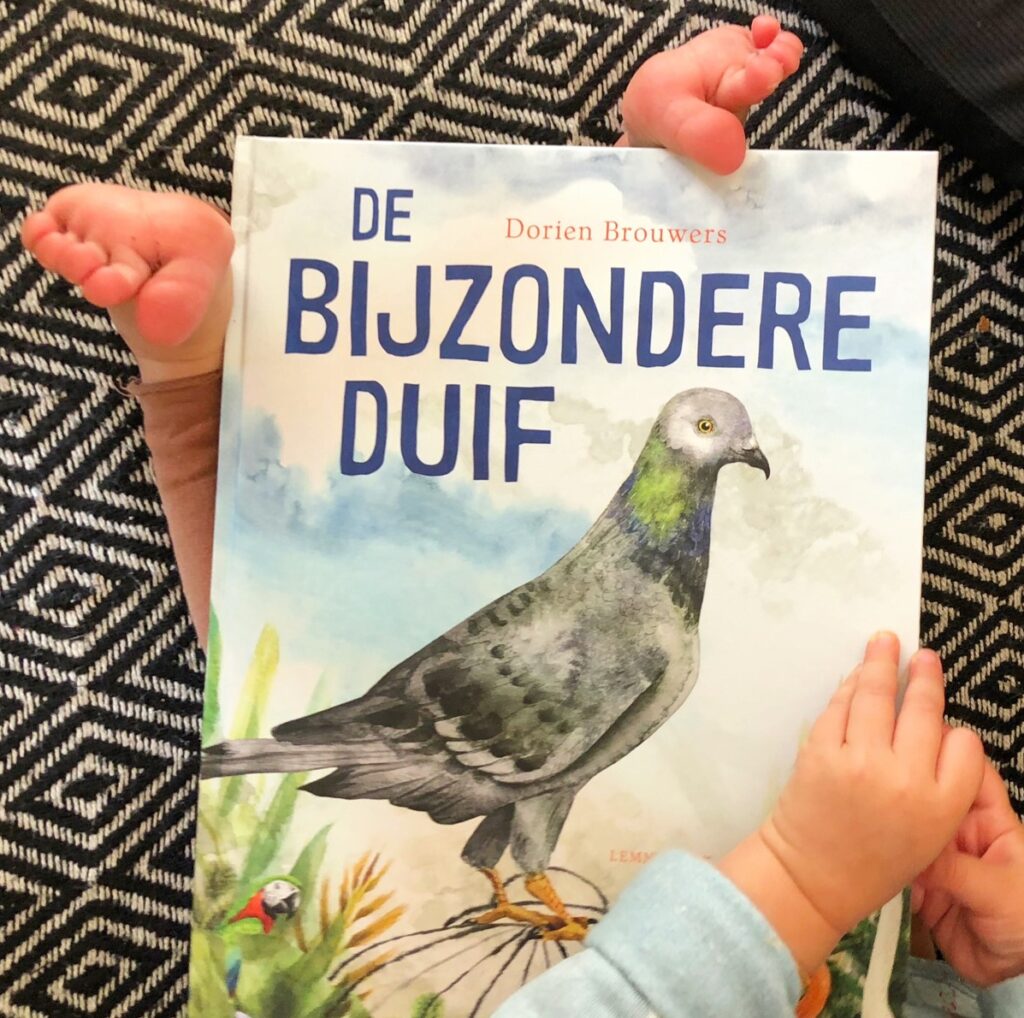 de bijzondere duif voorkant cover omslag kaft