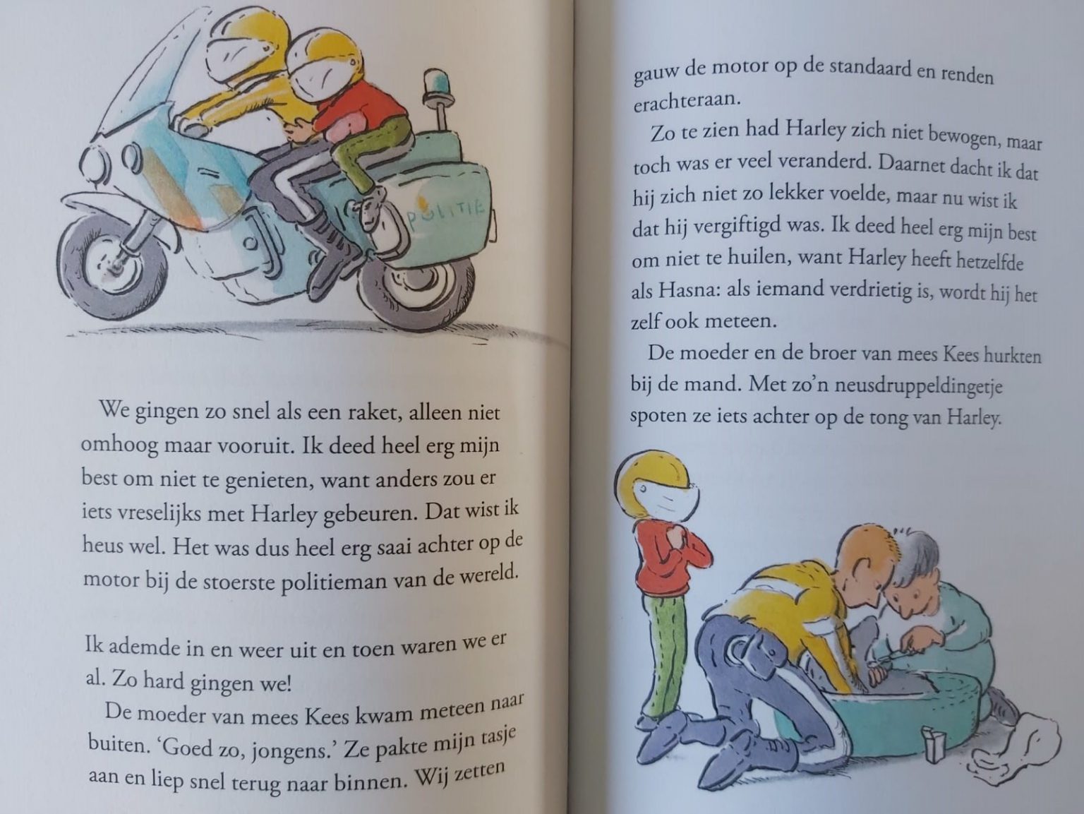 Mees Kees De Husselrace, Een Boek Van Mirjam Oldenhave