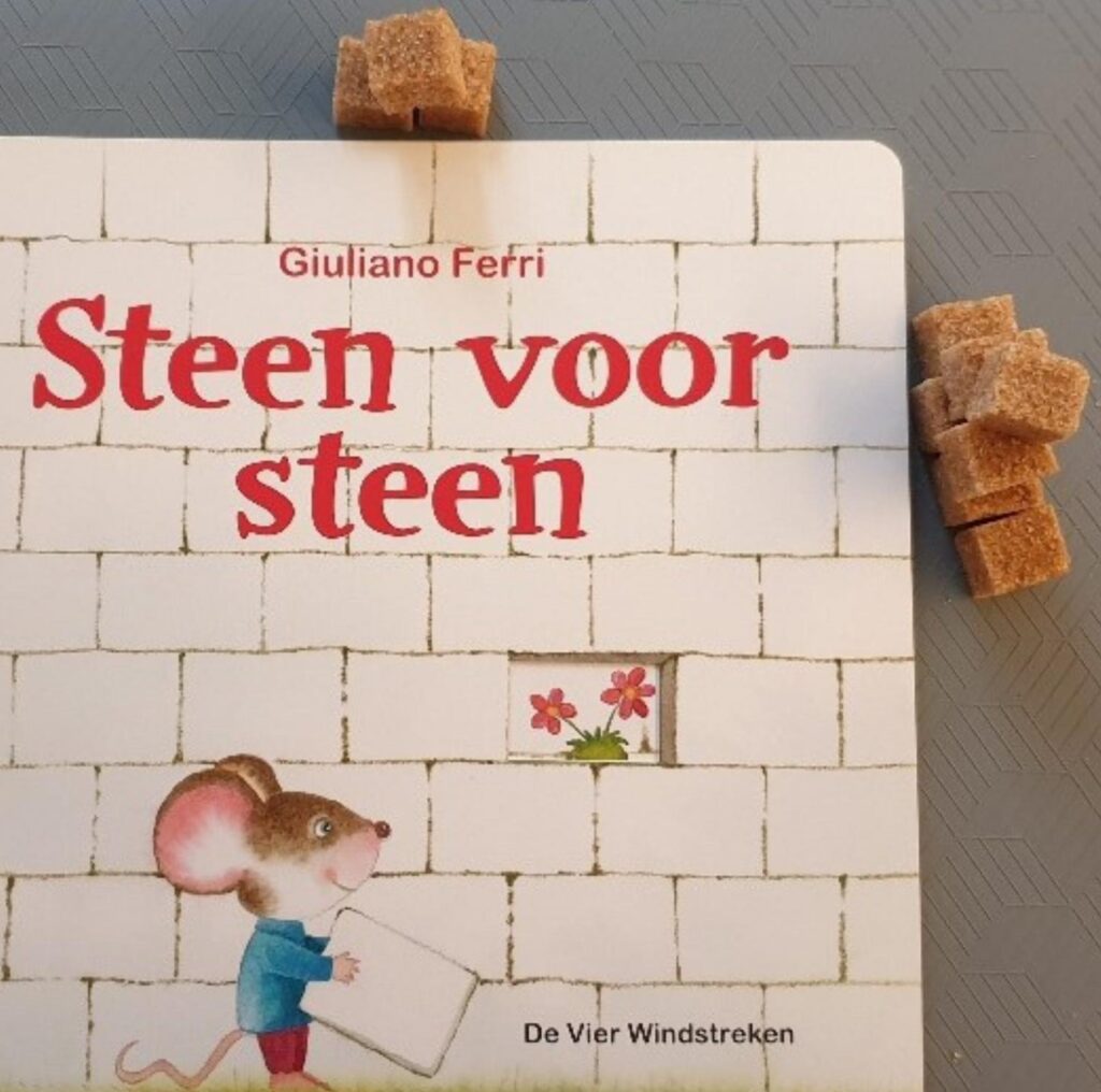 Boekjes over samenwerken en rekendoelen steen voor steen voorkant cover omslag kaft