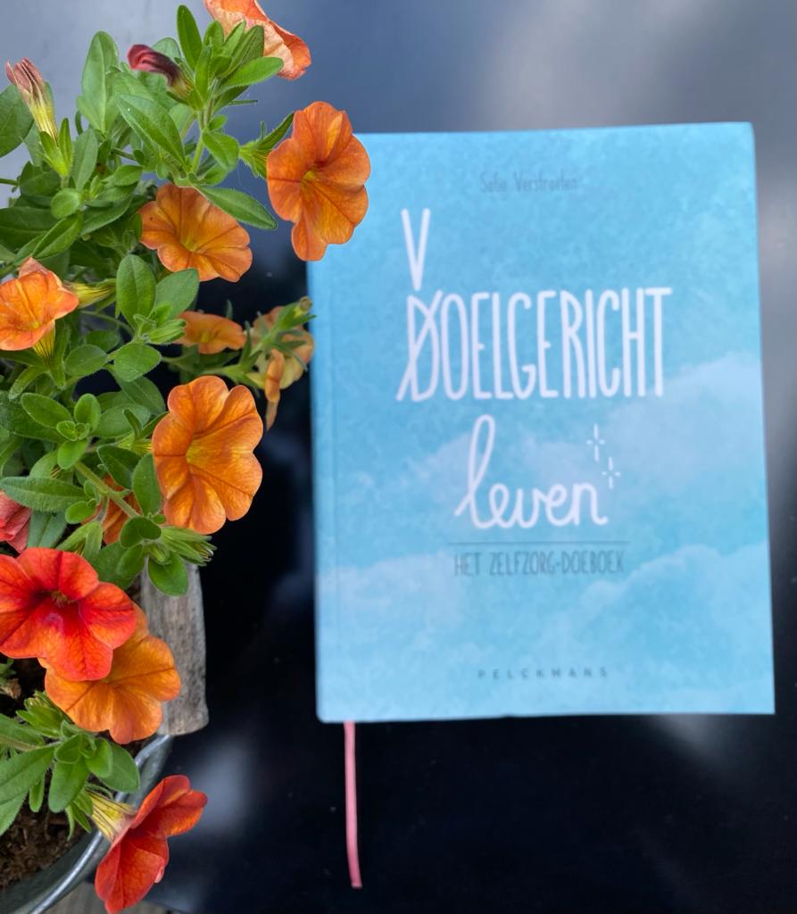 doeboek voorkant cover omslag kaft boek voelgericht leven