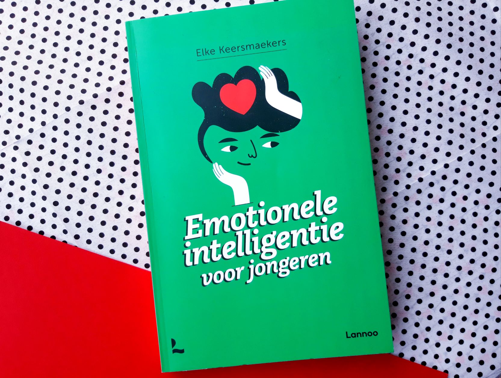 voorkant Emotionele intelligentie voor jongeren cover omslag kaft