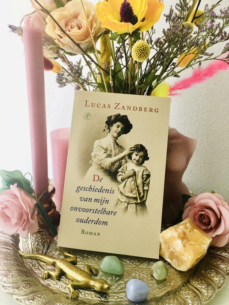 cover De geschiedenis van mijn onvoorstelbare ouderdom voorkant kaft omslag