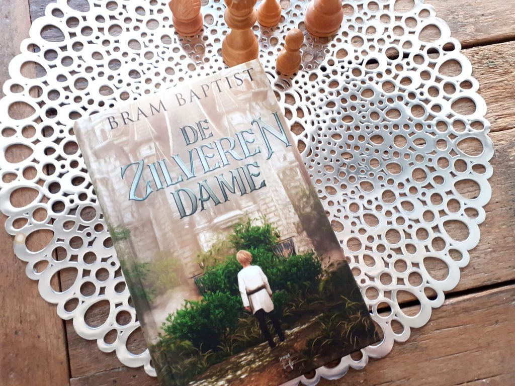 voorkant De zilveren dame cover omslag kaft