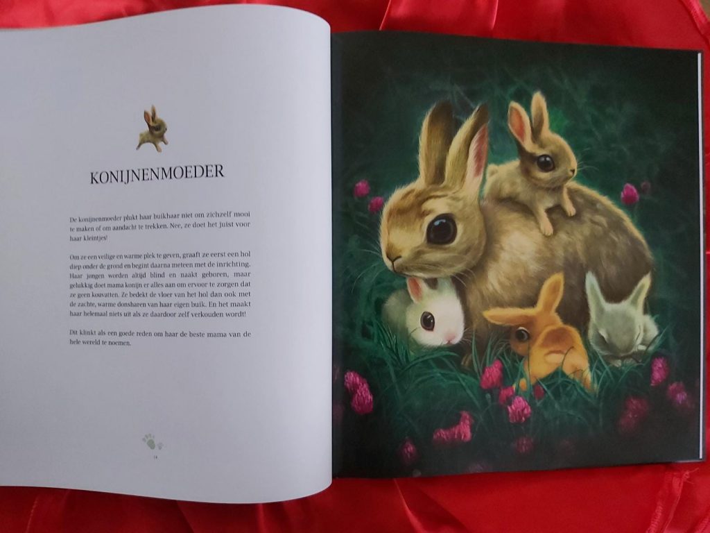 konijnen moeder