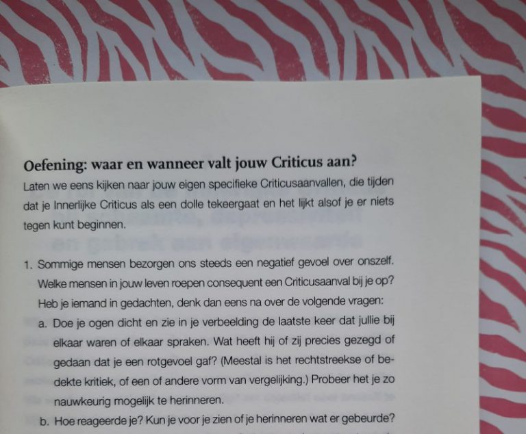 De Innerlijke Criticus Ontmaskerd - Stone | StoerLeesVoer