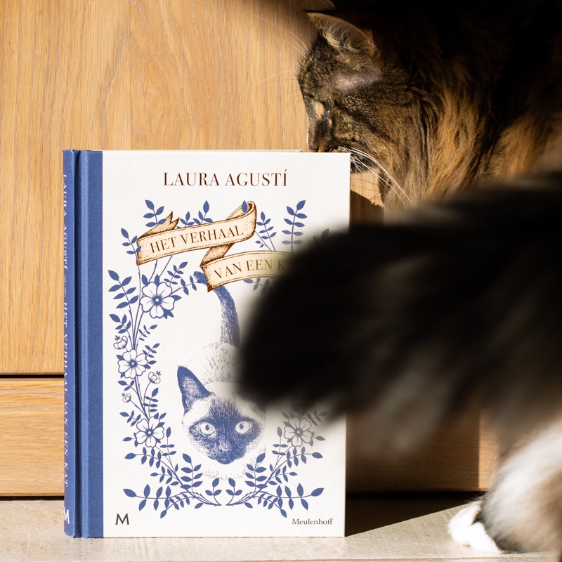 voorkant cover omslag kaft Het verhaal van een kat met echte kat