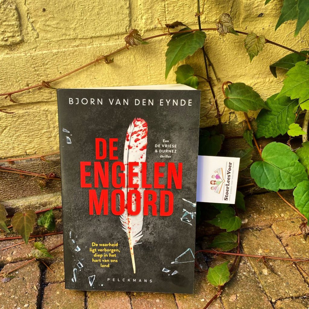 voorkant cover omslag kaft de engelenmoord