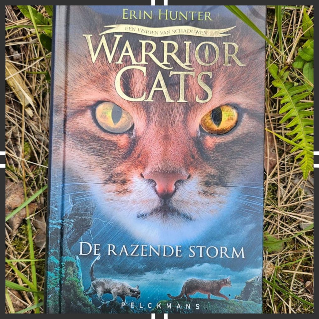 De razende storm - Warrior Cats serie 5