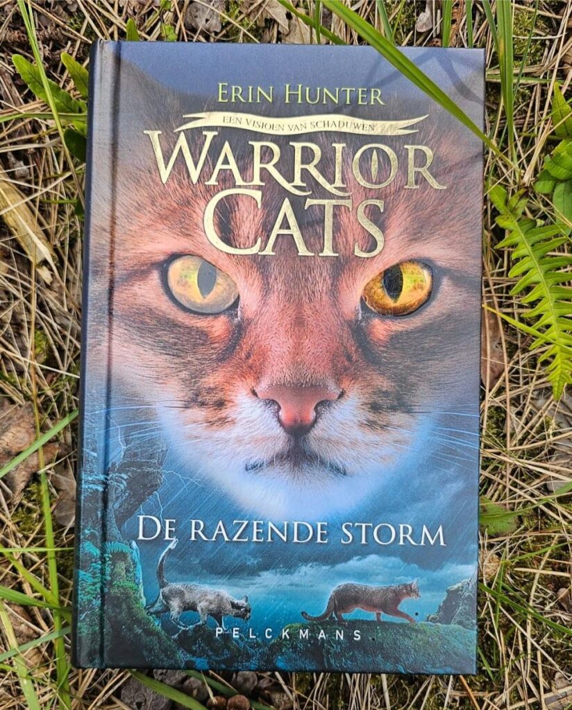 De razende storm - Warrior Cats serie 5 voorkant cover omslag kaft