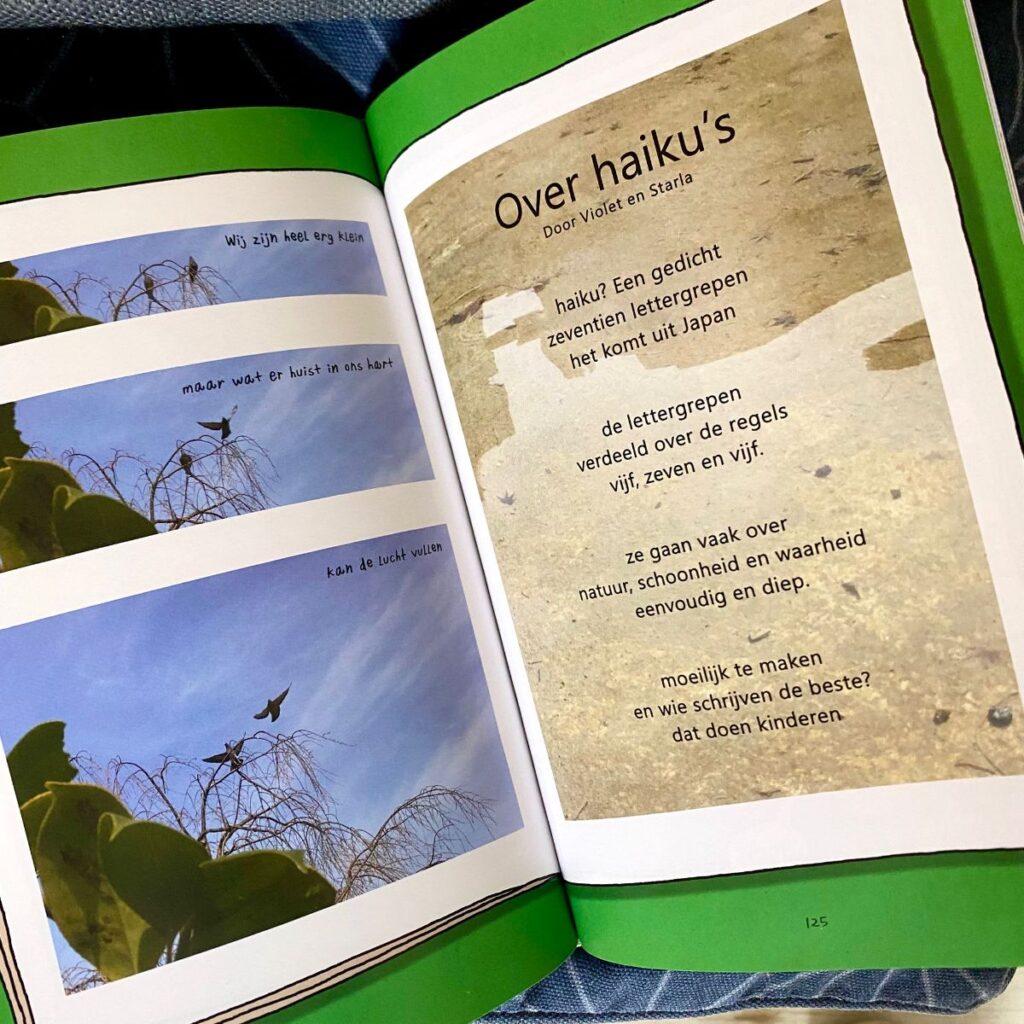 over haiku's kleine karels tekenclub boek