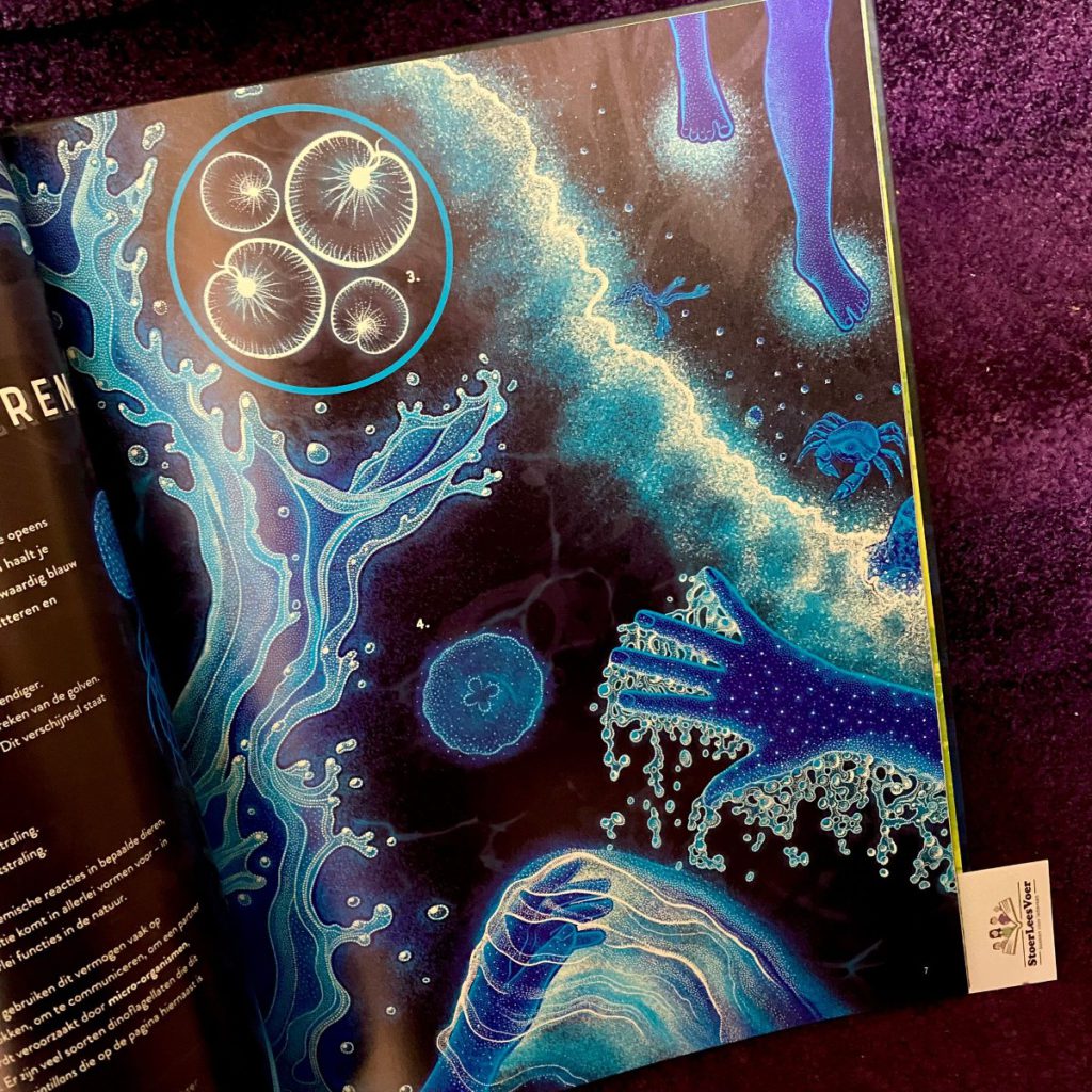 weetjesboek oceaan