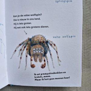 Verschillende soorten spinnen