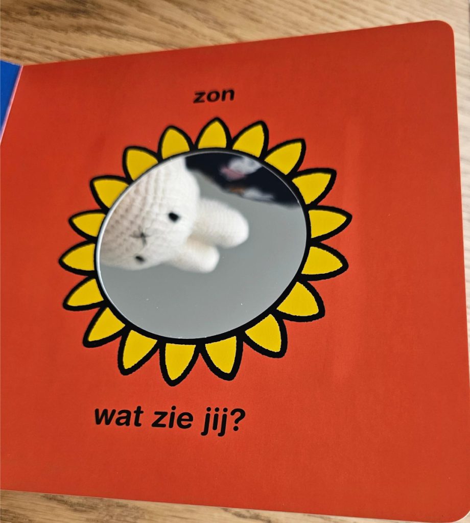 wat ziet nijntje spiegel zon dick bruna kartonboek