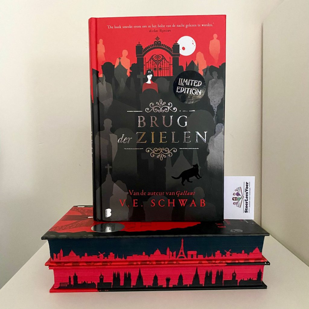 Brug der zielen schwab cassidy blake 3 boekenserie boekerij voorkant cover kader boeken