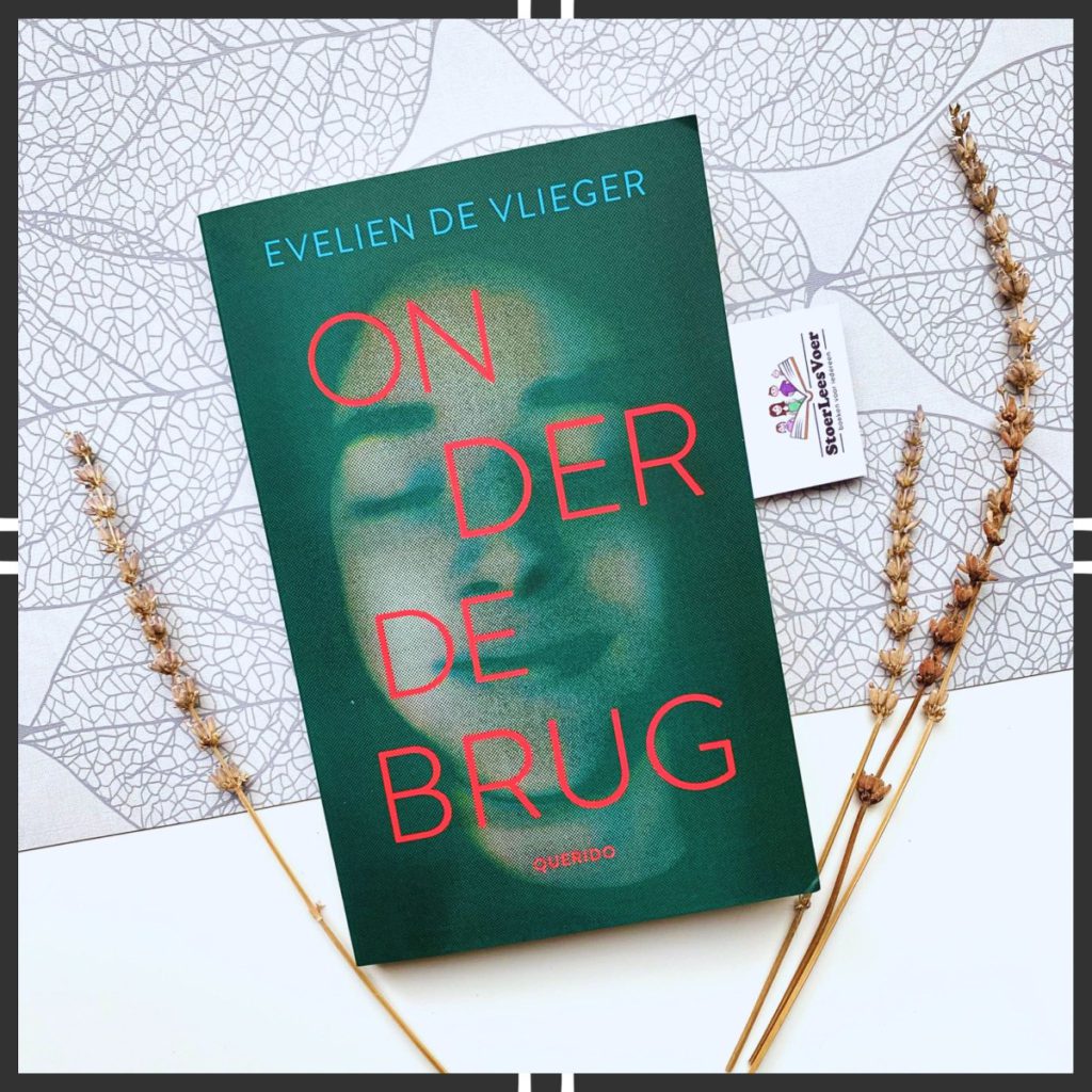 Onder de brug evelien de vlieger roman literaire thriller voorkant boek cover omslag uitgeverij querido