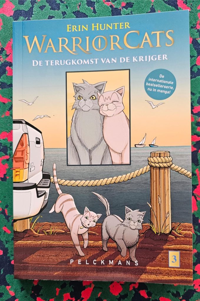 De terugkomst van de krijger