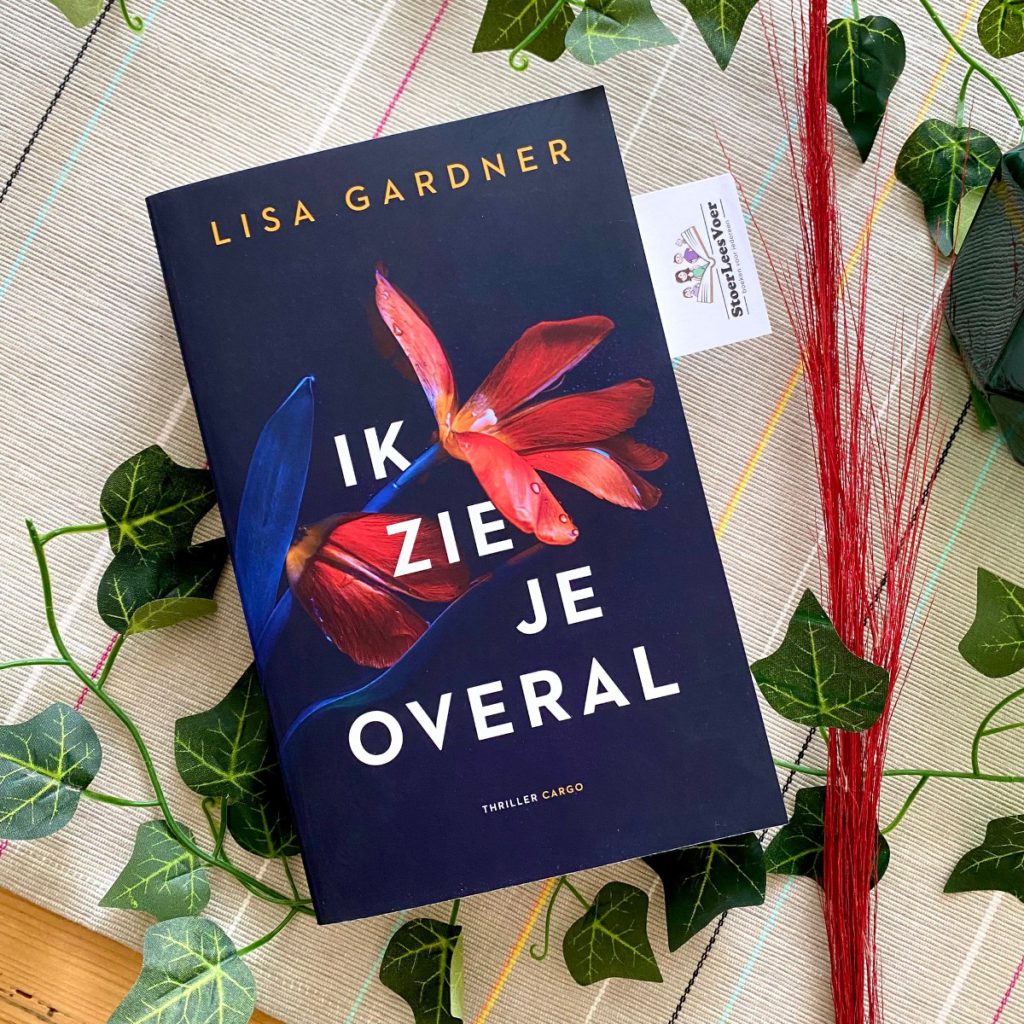 Ik zie je overal lisa gardner frankie elkin 3 thriller voorkant cover omslag boek