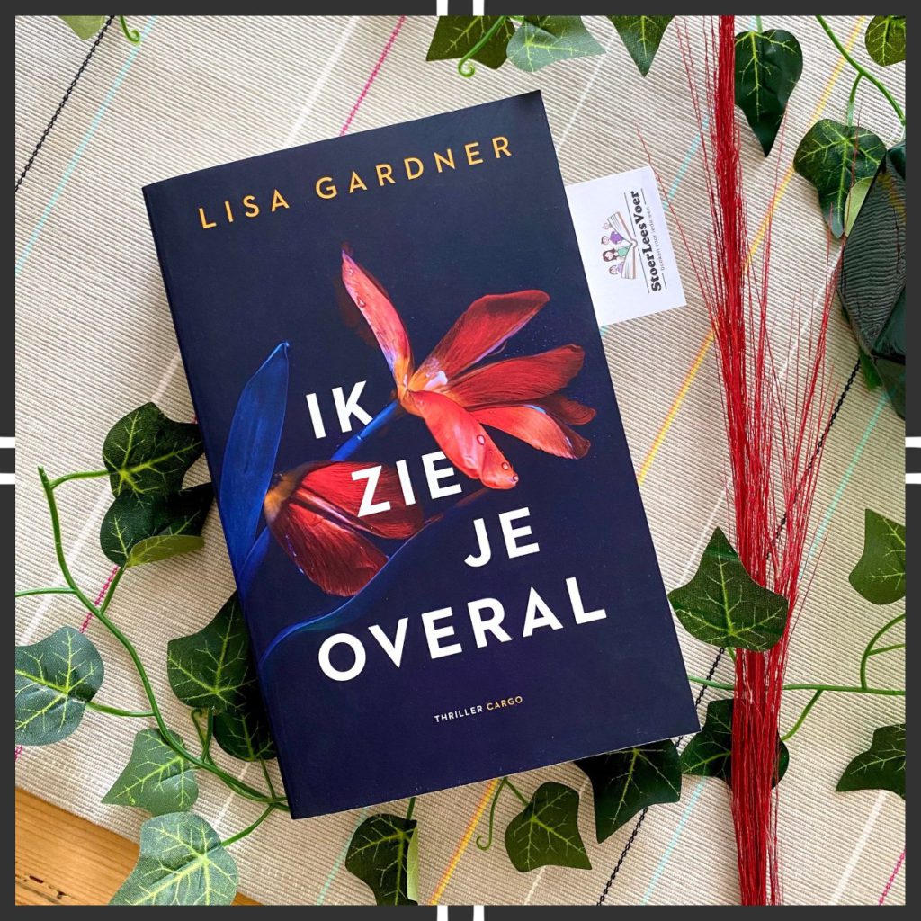 Ik zie je overal lisa gardner frankie elkin 3 thriller voorkant cover omslag boek