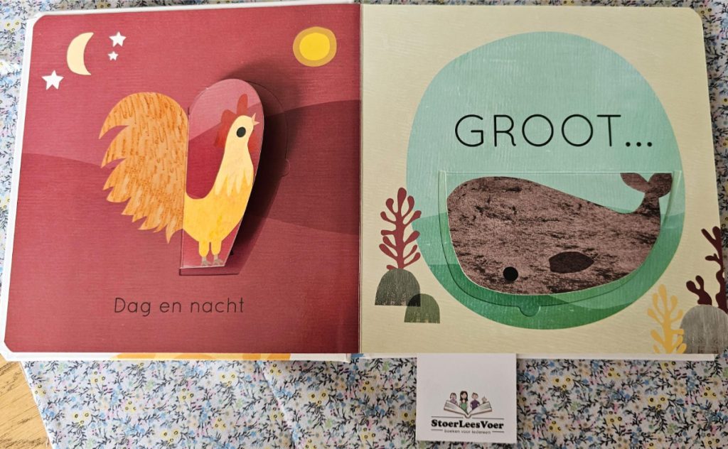 Groot en klein een boek vol tegenstellingen