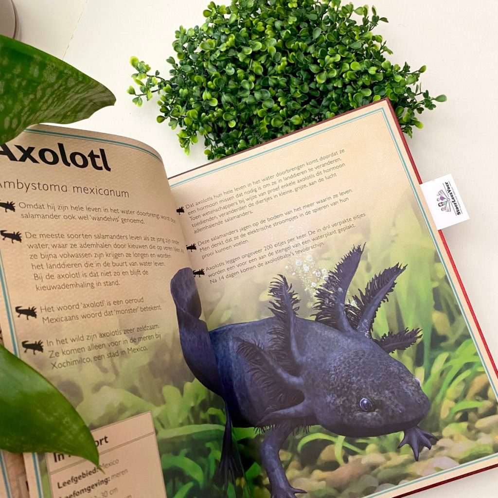 Het allermooiste boek over reptielen en amfibieën axolotl weetjesboek jeugd