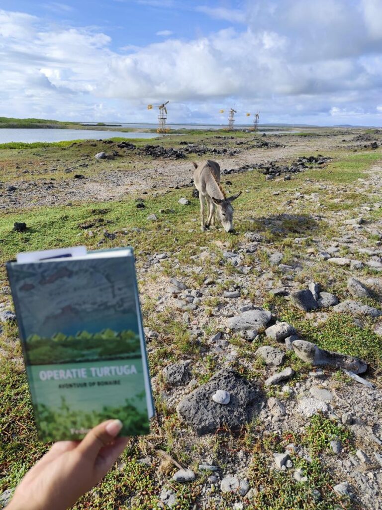 jeugdboek bonaire ezel spannend avontuur feddor de beer