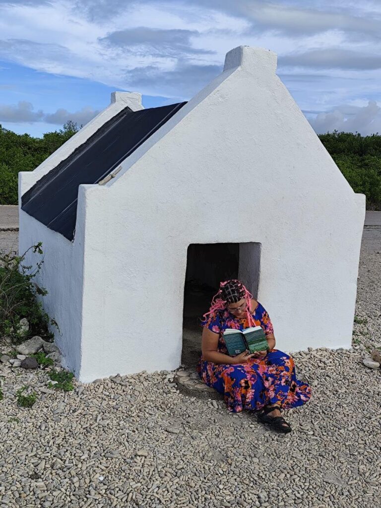 Operatie Turtuga lezen op bonaire