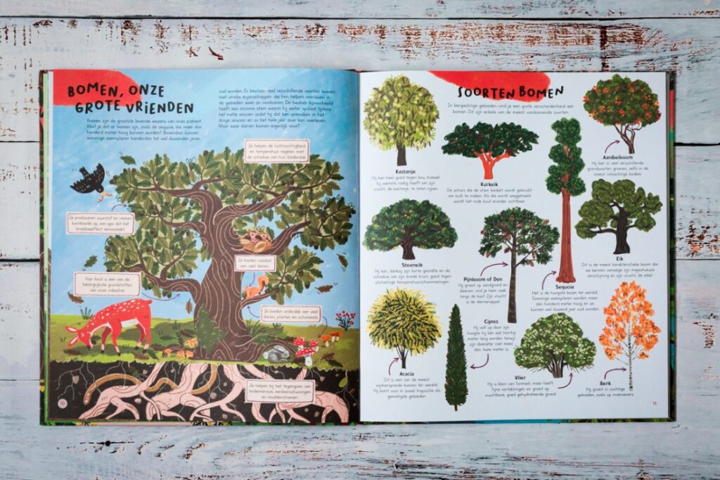 bladspiegel 1/3 Bomen onze grote vrienden en verschillende soorten bomen. Illustraties met kleine tekstwolkjes vol informatieve uitleg