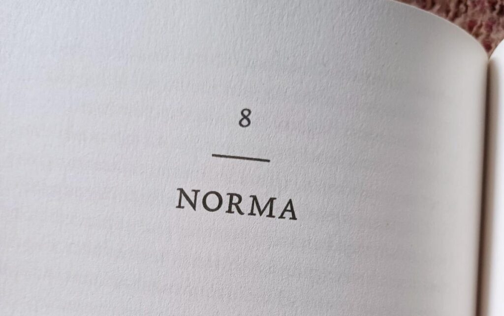 De Bessenplukkers norma