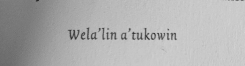 vertaling