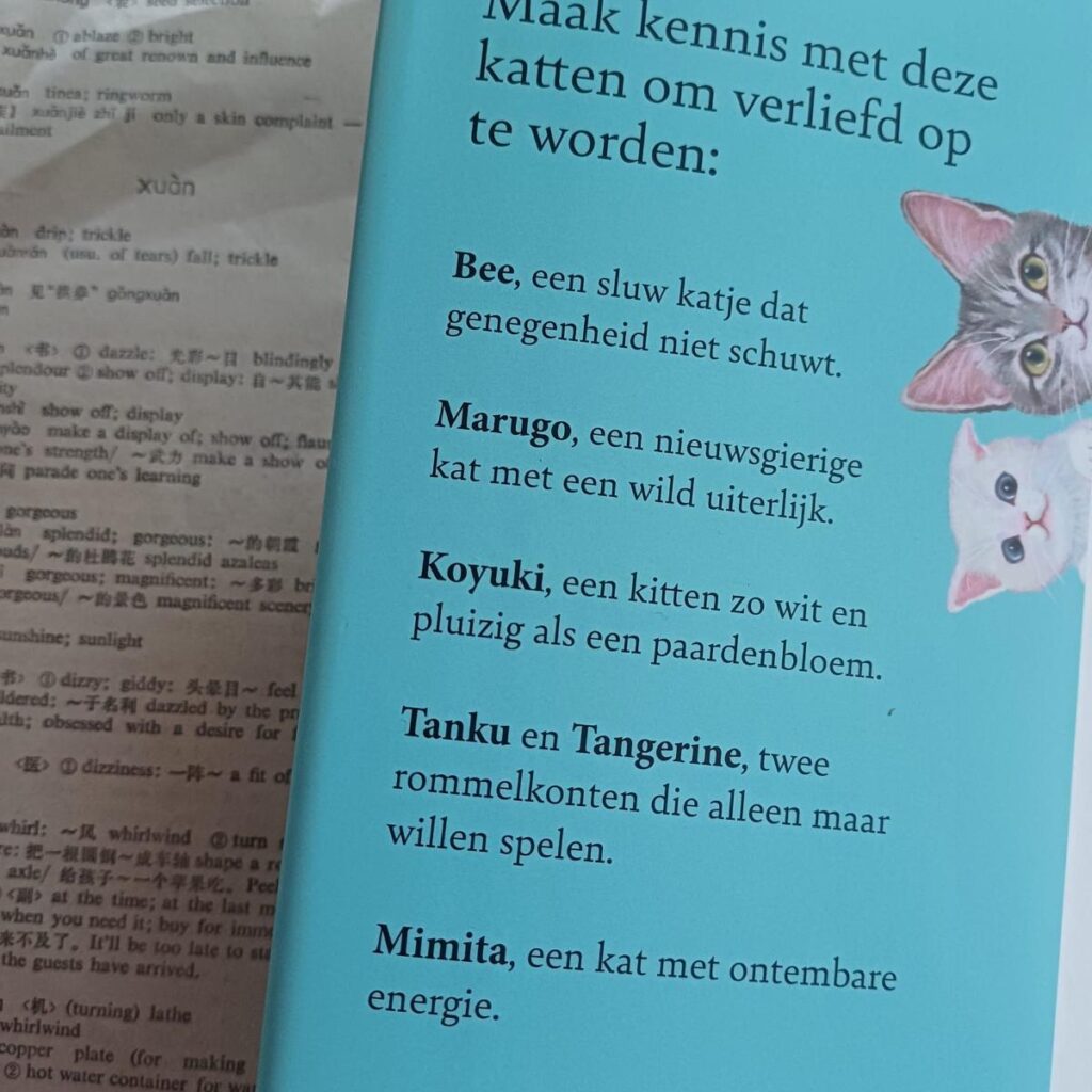 Een kat op recept