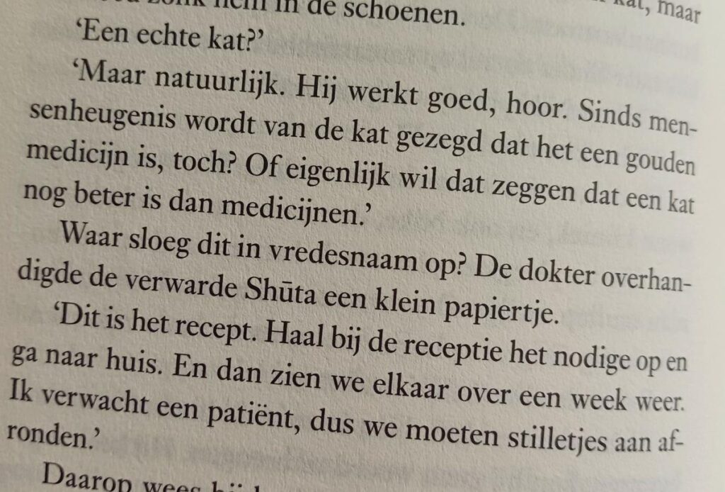 Een kat op recept
