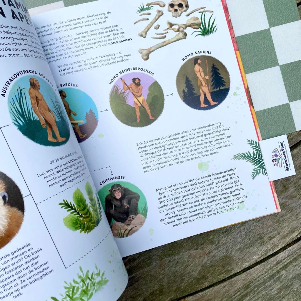 homo sapiens illustraties tekst weetjesboek lemniscaat