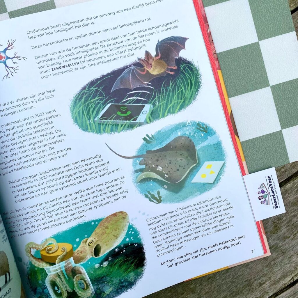 weetjesboek jeugd emma young lemniscaat