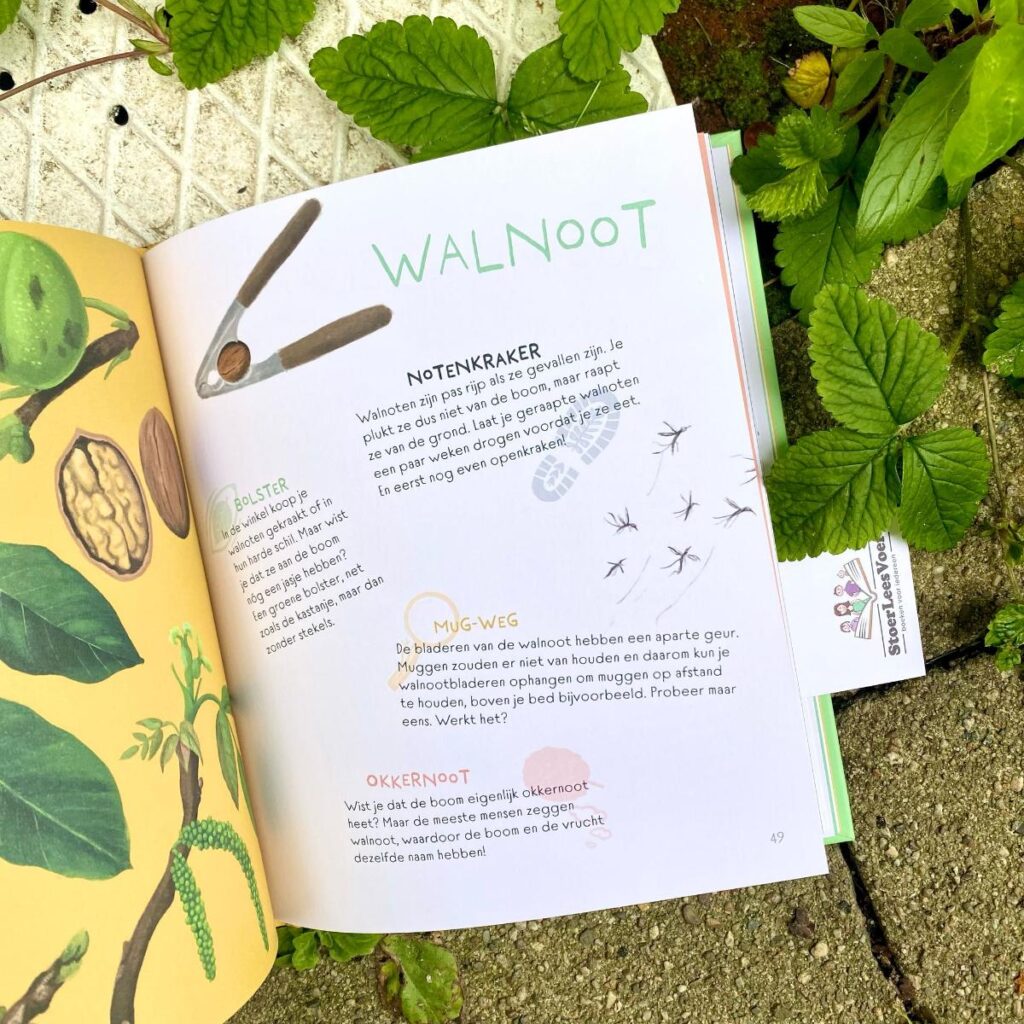 walnoot blaadjesboek
