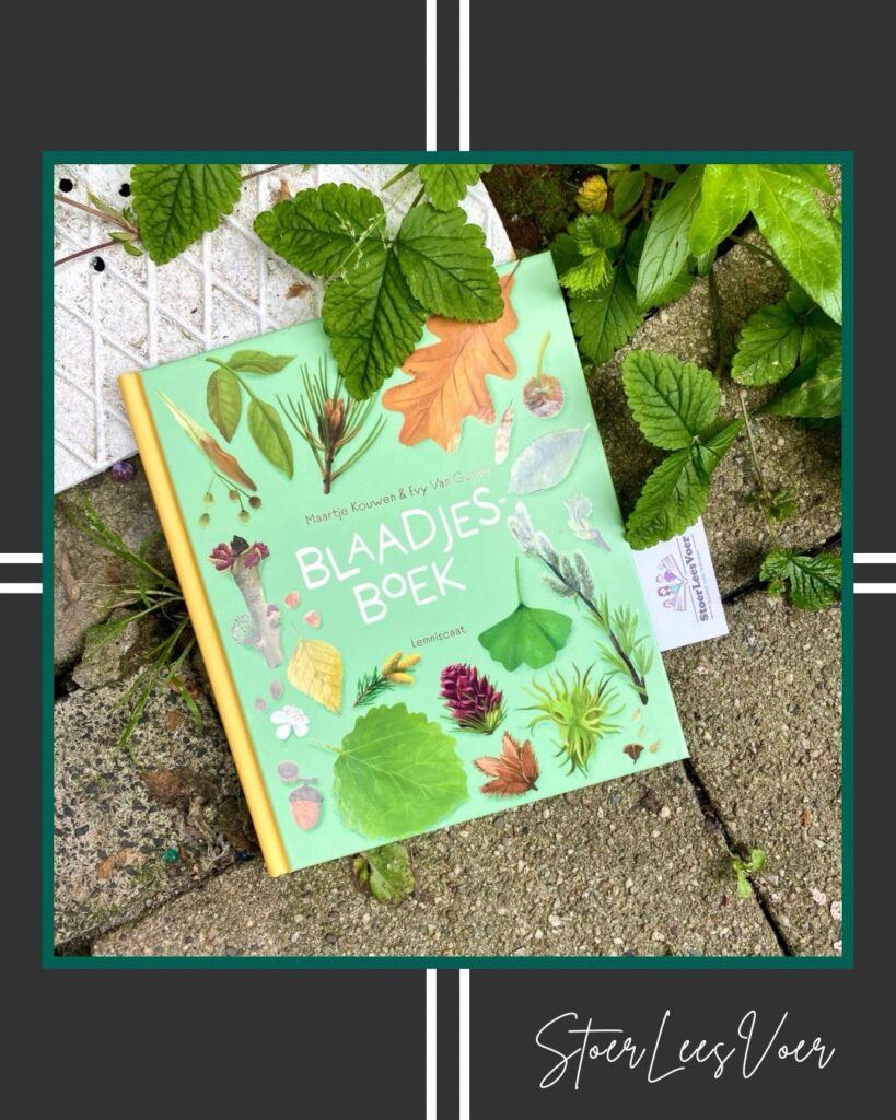 Blaadjesboek maartje kouwen evy van guyse, voorkant cover omslag boek