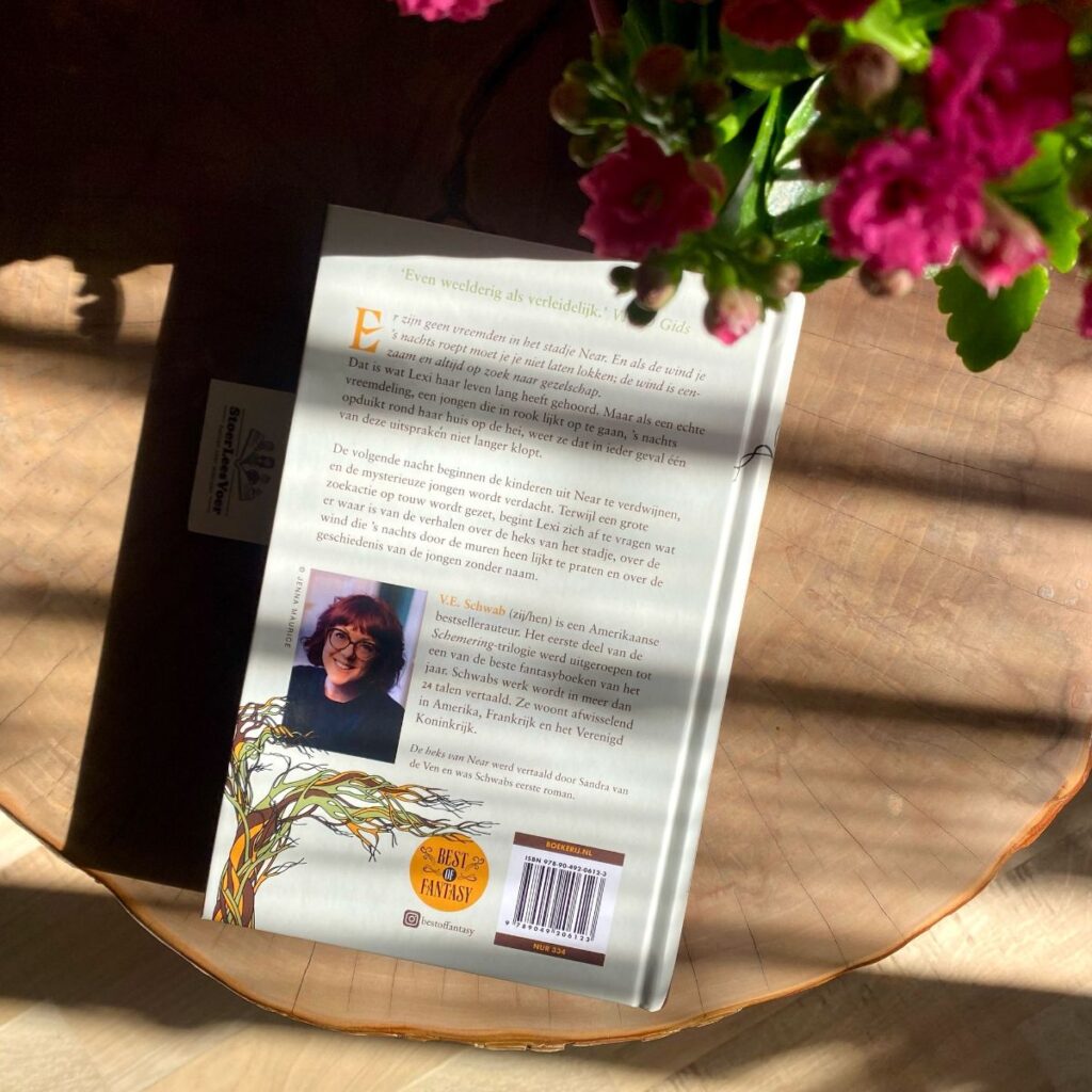 De heks van Near v.e. Schwab achterkant synopsis samenvatting cover omslag boek