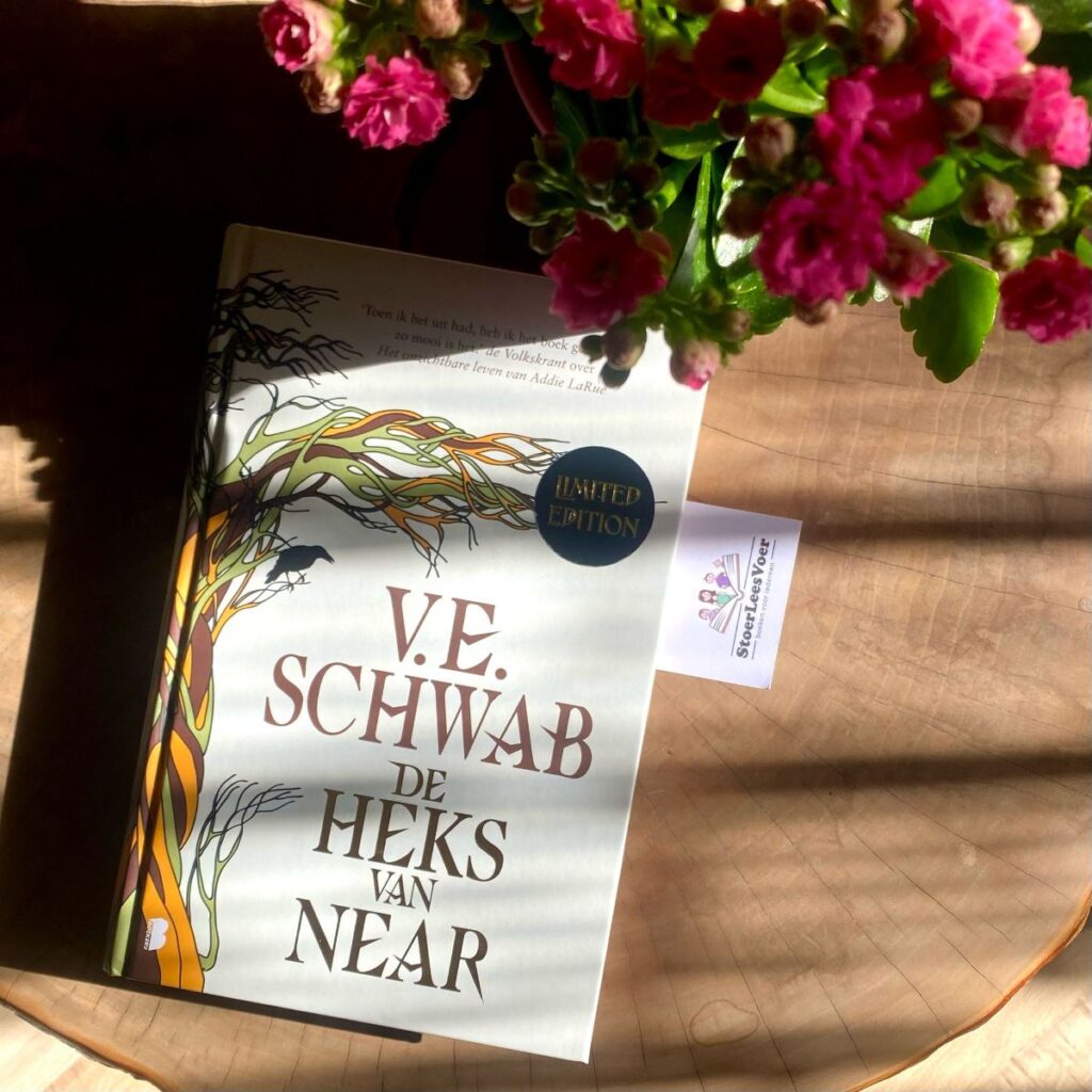 De heks van Near v.e. Schwab voorkant cover omslag boek