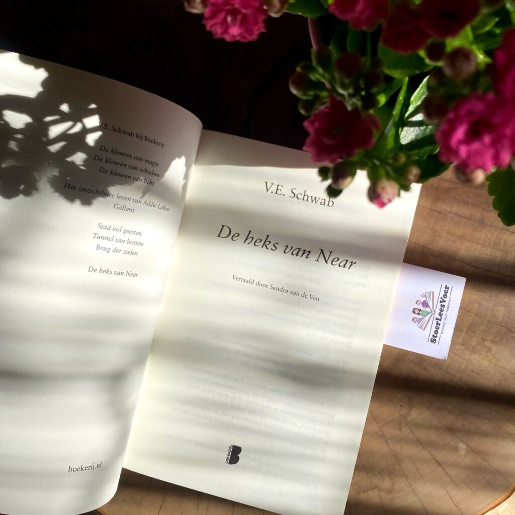 titelblad boek ve schwab