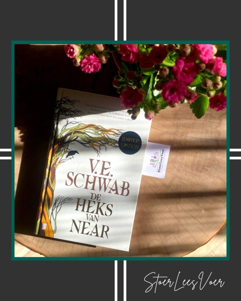 De heks van Near v.e. Schwab voorkant cover omslag boek