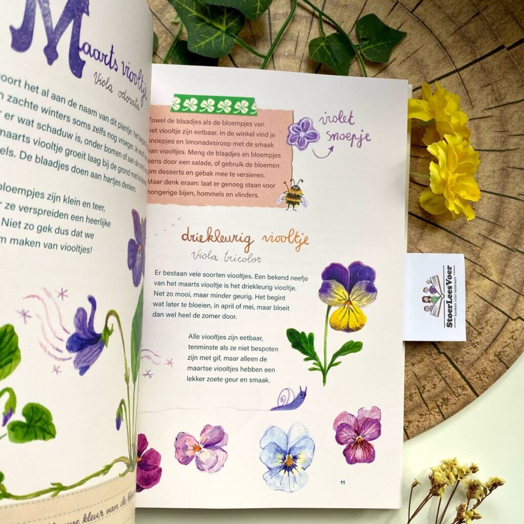 Het grote bloemenboek  maarts viooltje