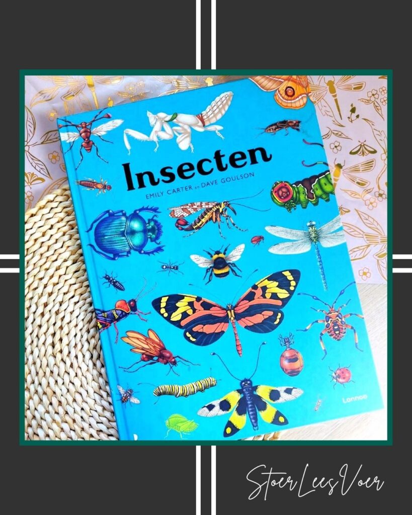 insecten hoofdfoto
