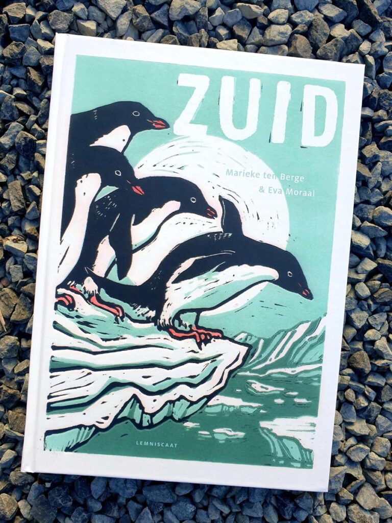 Zuid