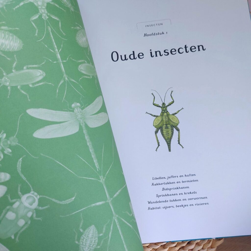 oude insecten